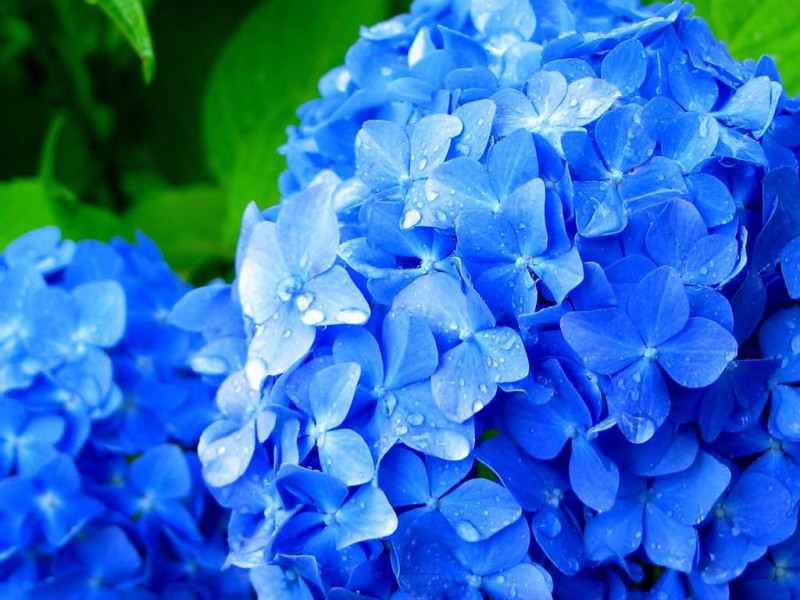 2017年7月言魂出張＆YOSHIKATSU言魂アトリエ開館日